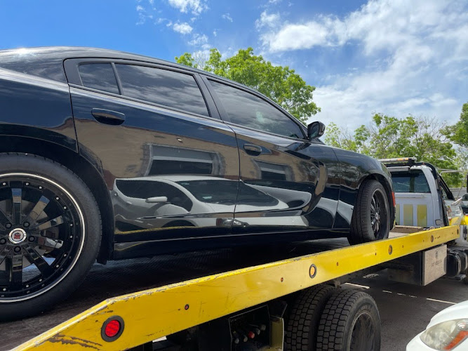 Imagen no disponible